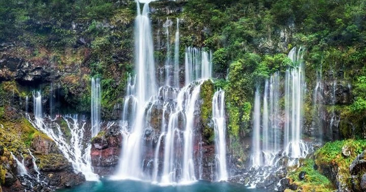 4038c38e-c9d7-43d6-8f35-594adf7e8018