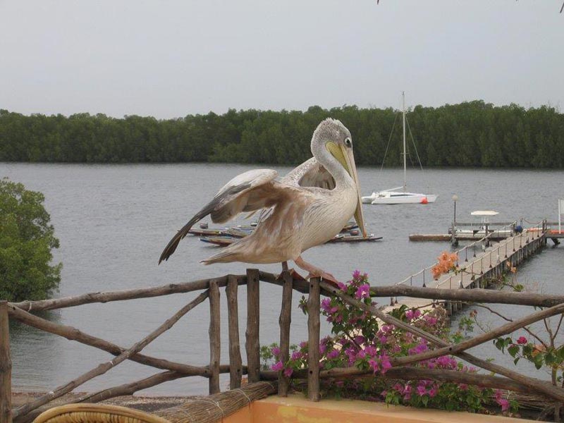 ponton-du-keur-saloum